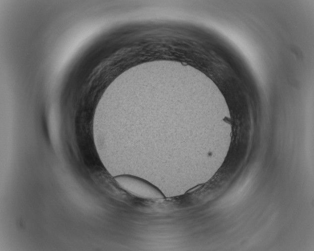 X0000111920239200909071224