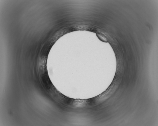 X0000111920240200909071224