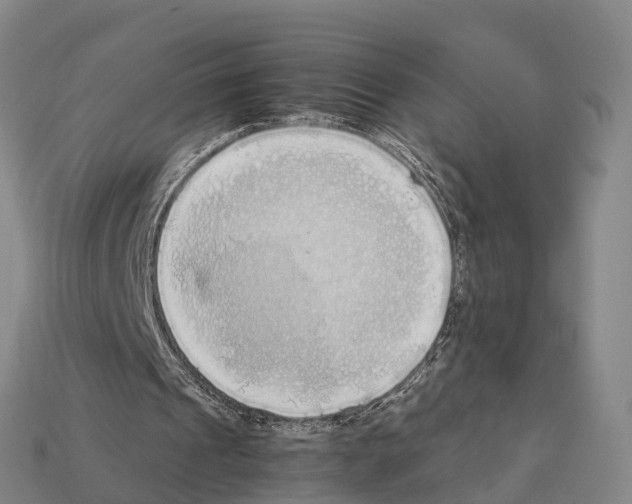 X0000111920241200909071223