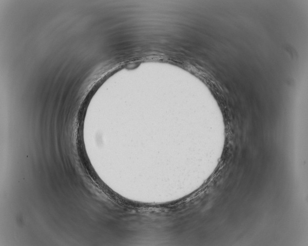 X0000111920242200909071223