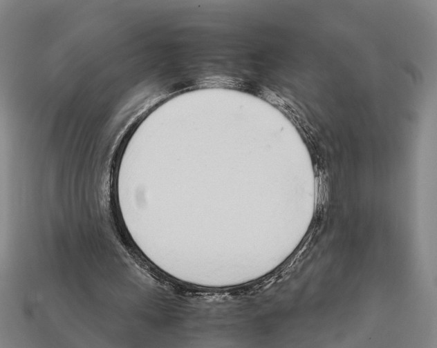 X0000111920243200909071223