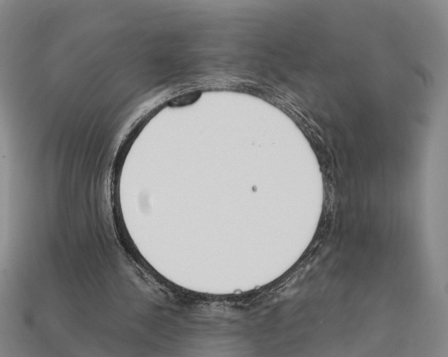 X0000111920244200909071223