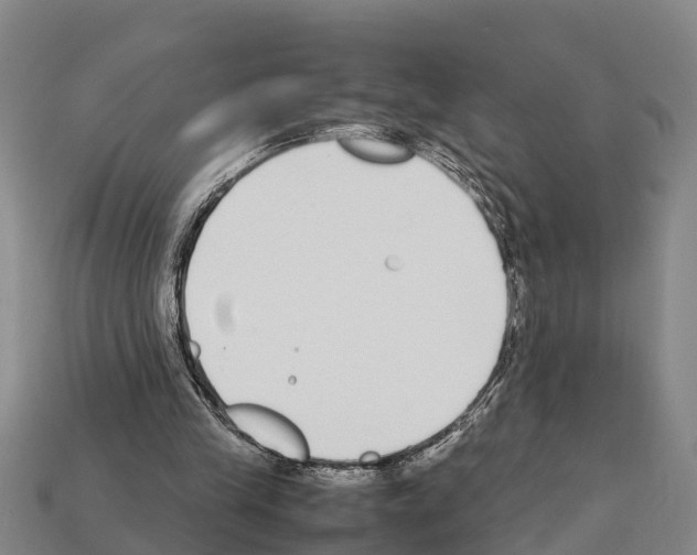 X0000111920245200909071223