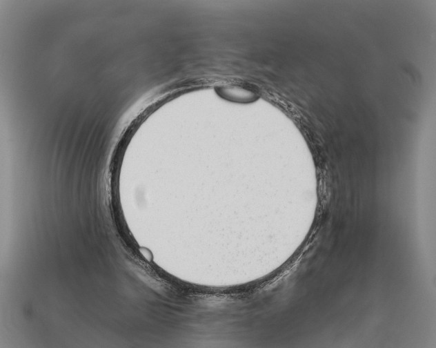 X0000111920246200909071223