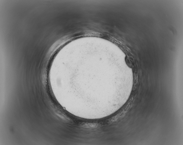 X0000111920247200909071223