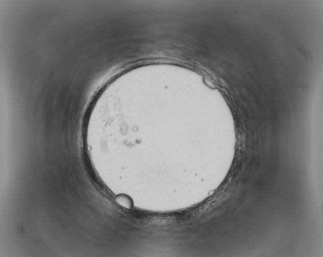 X0000111920248200909071223