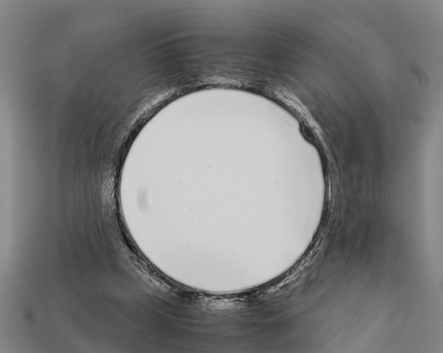 X0000111920249200909071223