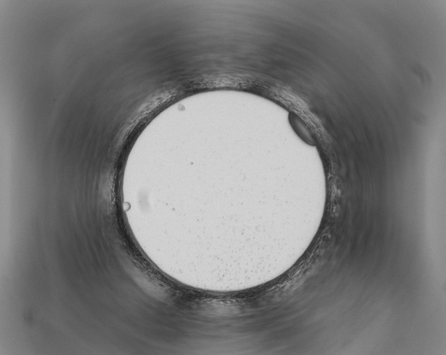 X0000111920250200909071223