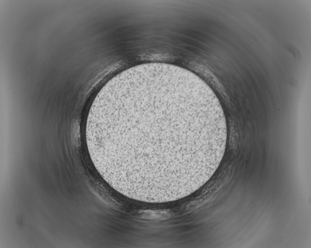 X0000111920251200909071223