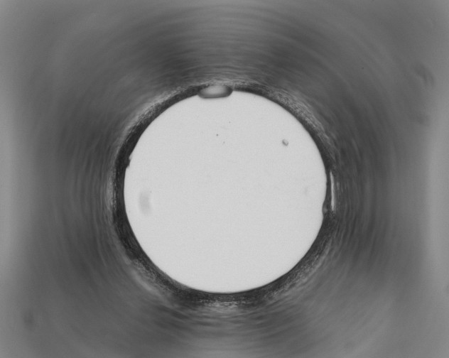 X0000111920252200909071223