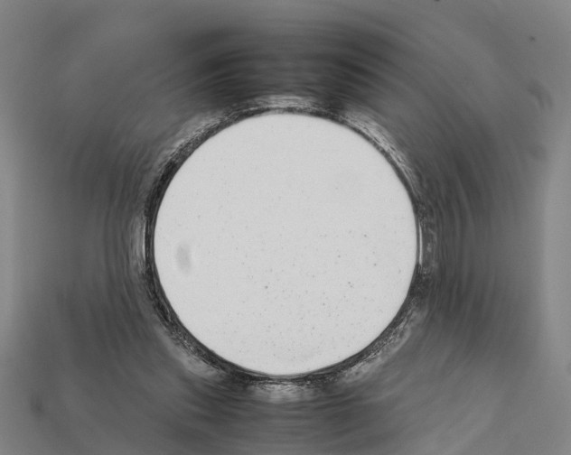 X0000111920253200909071223