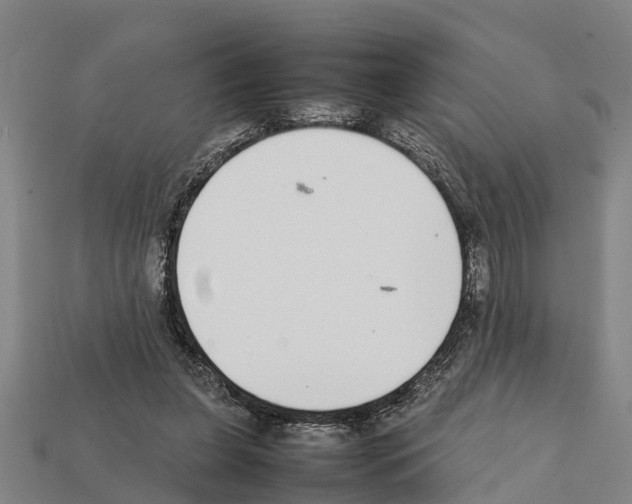 X0000111920255200909071223