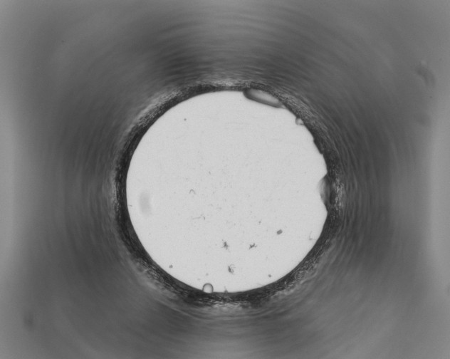 X0000111920256200909071223