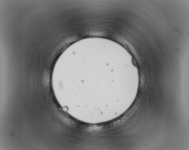 X0000111920257200909071223