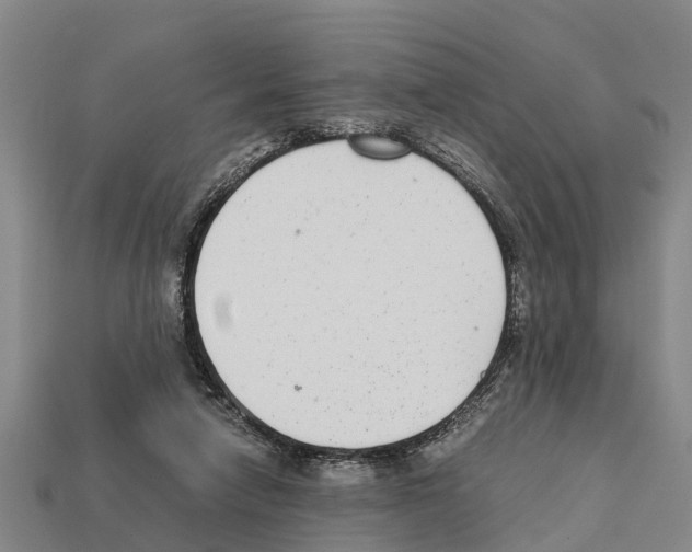 X0000111920258200909071223