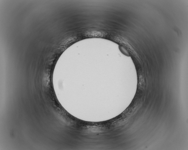 X0000111920259200909071223