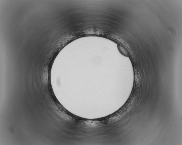 X0000111920261200909071223