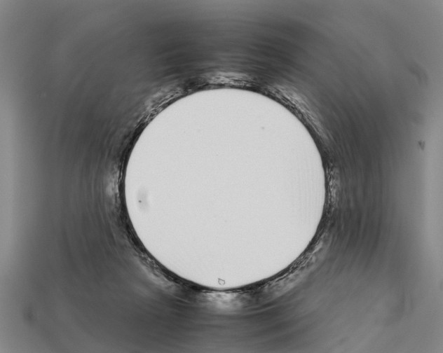 X0000111920265200909071223