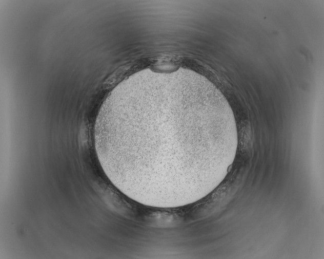 X0000111920272200909071224