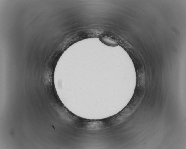 X0000111920274200909071224