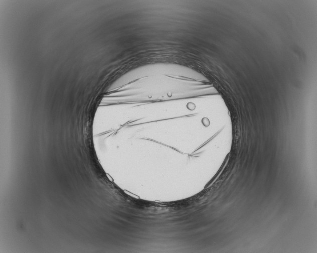 X0000111920276200909071224