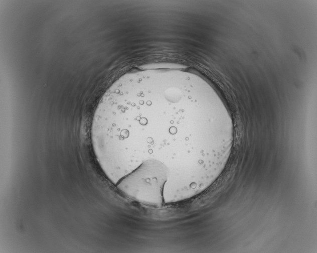 X0000111920277200909071224