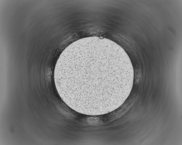 X0000111920279200909071224