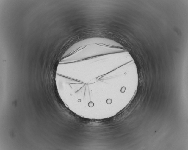 X0000111920280200909071224