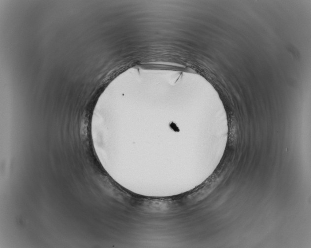 X0000111920282200909071224