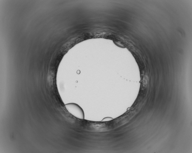 X0000111920283200909071224