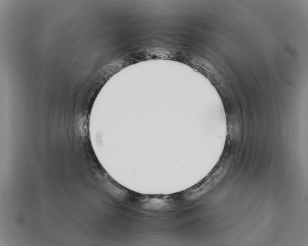 X0000111920285200909071224