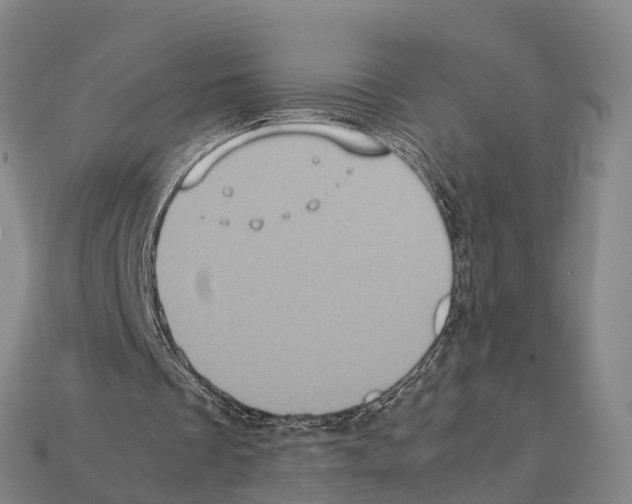 X0000111920289200909071223