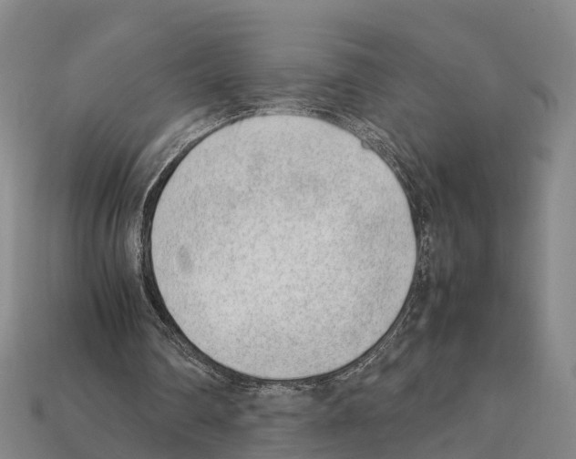 X0000111920290200909071223