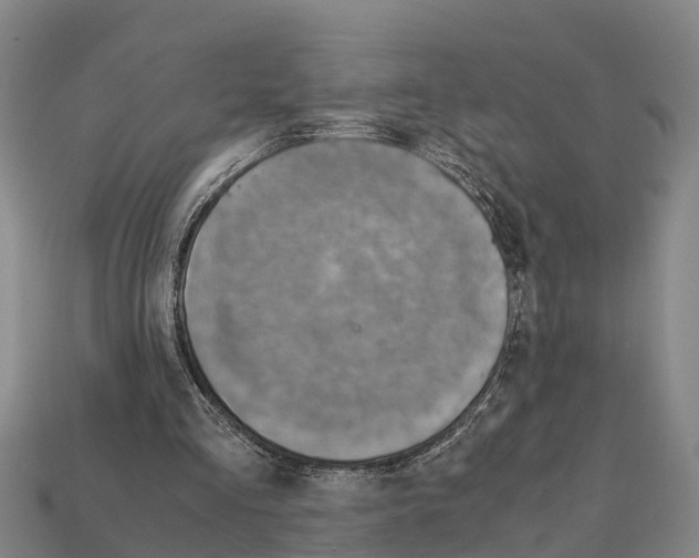 X0000111920293200909071223