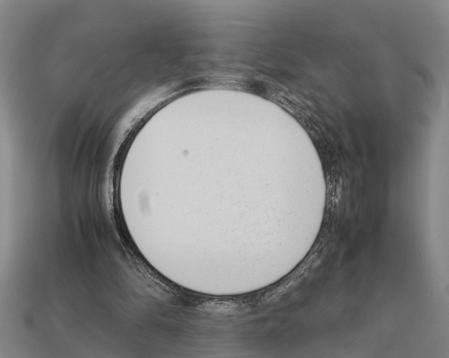 X0000111920294200909071223