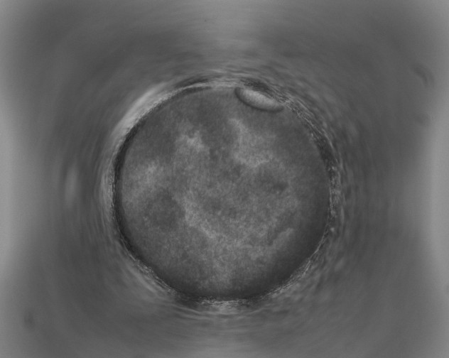 X0000111920295200909071223