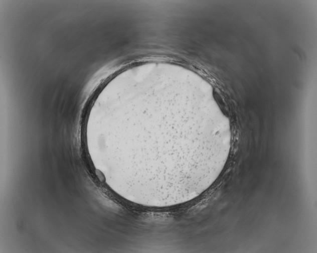 X0000111920296200909071223