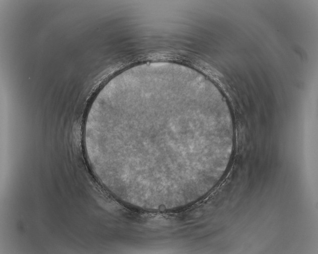 X0000111920297200909071223