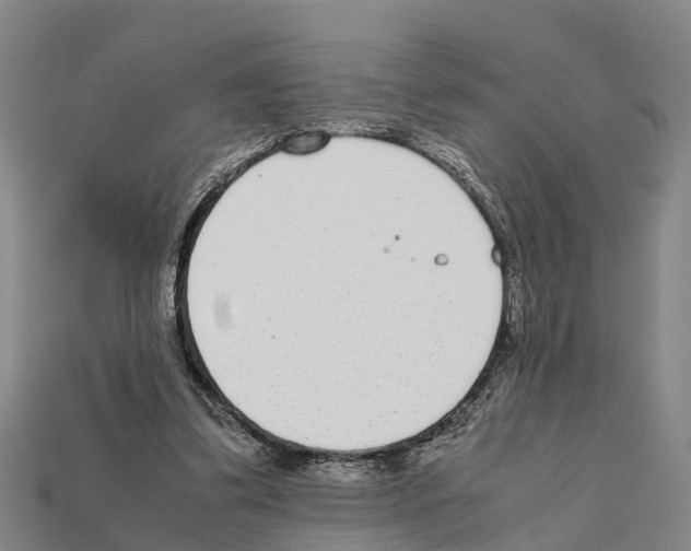 X0000111920299200909071223