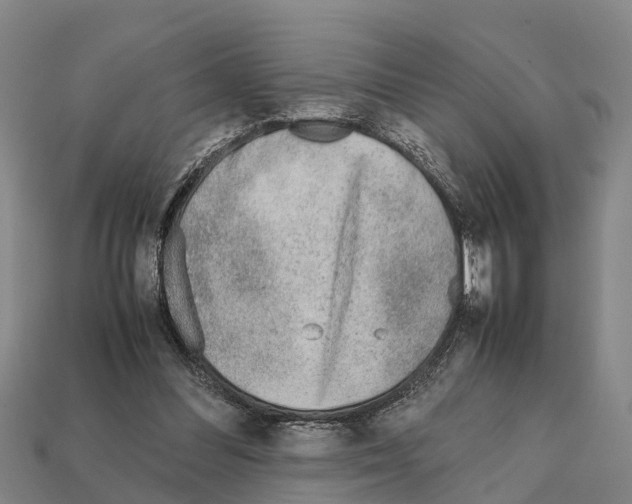 X0000111920300200909071223