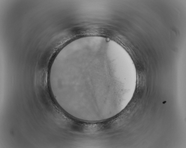 X0000111920301200909071223