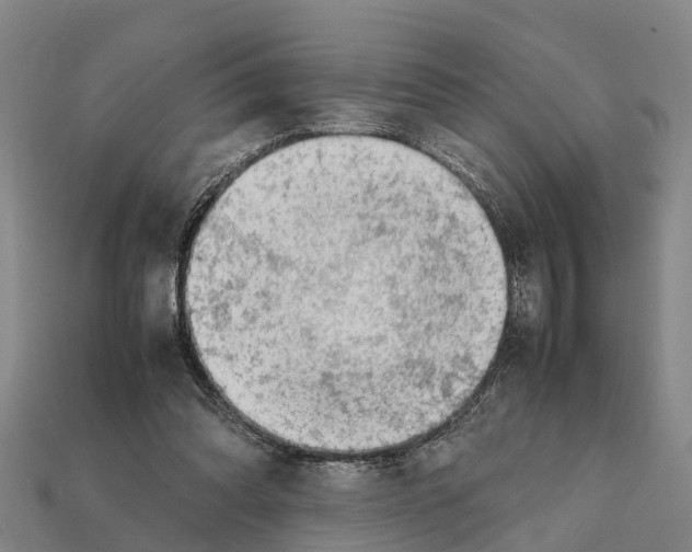 X0000111920302200909071223