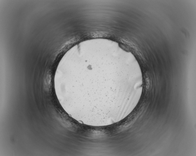 X0000111920308200909071223