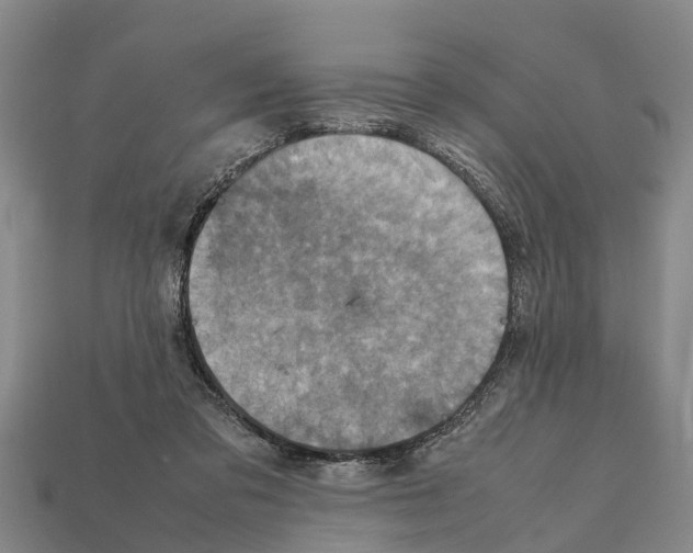 X0000111920309200909071223