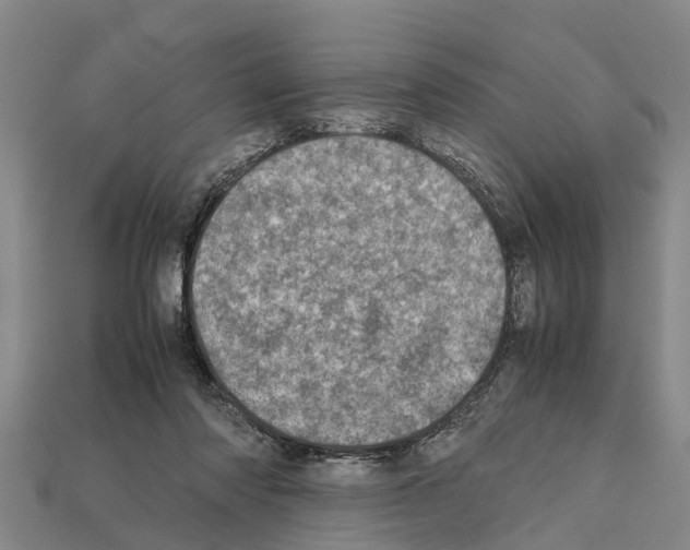 X0000111920310200909071223