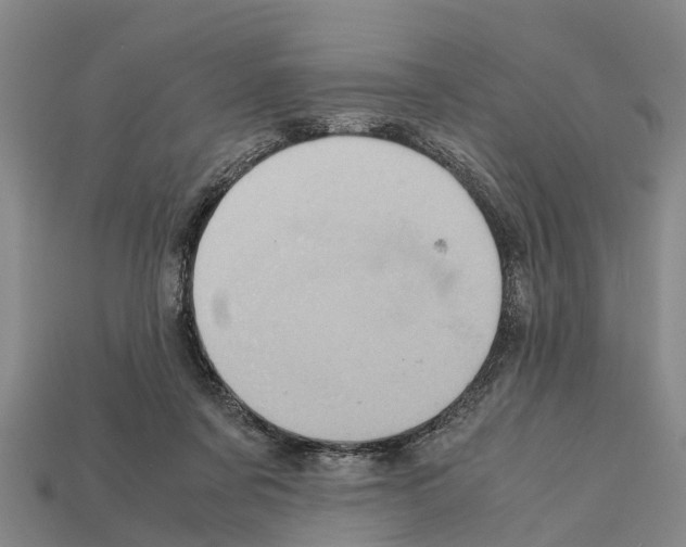 X0000111920311200909071223