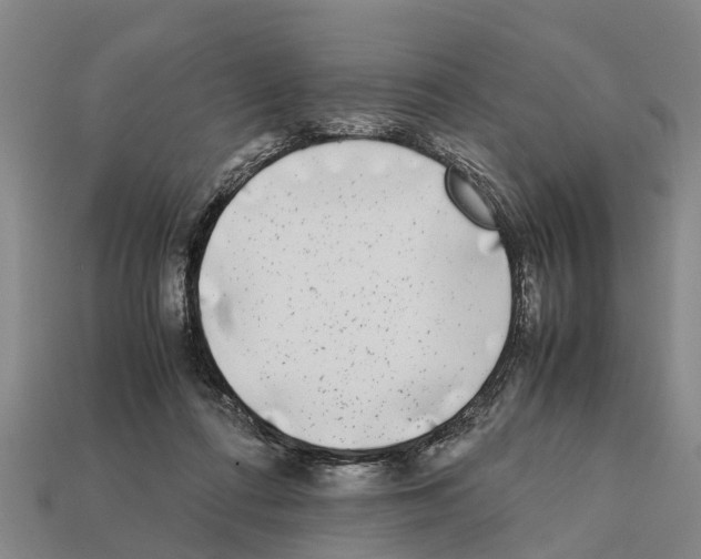 X0000111920312200909071223