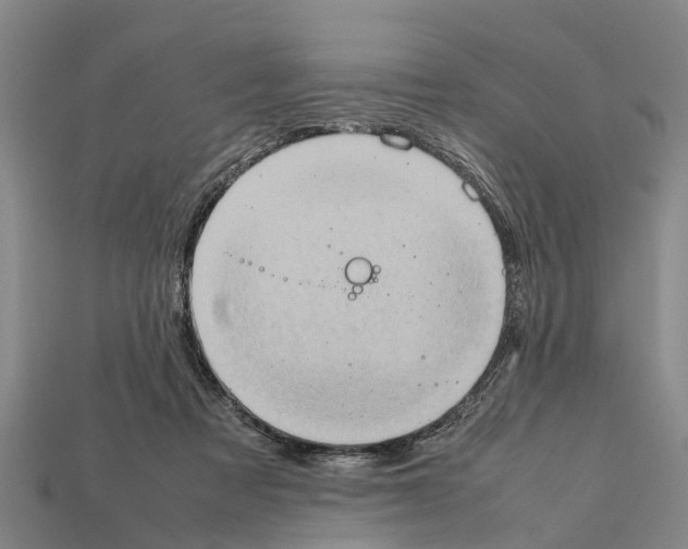 X0000111920313200909071223