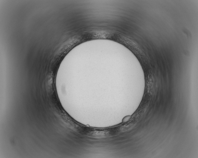 X0000111920314200909071223