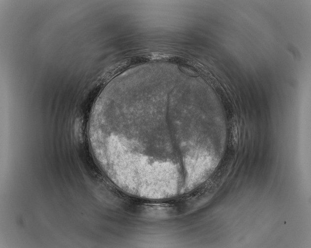 X0000111920316200909071223